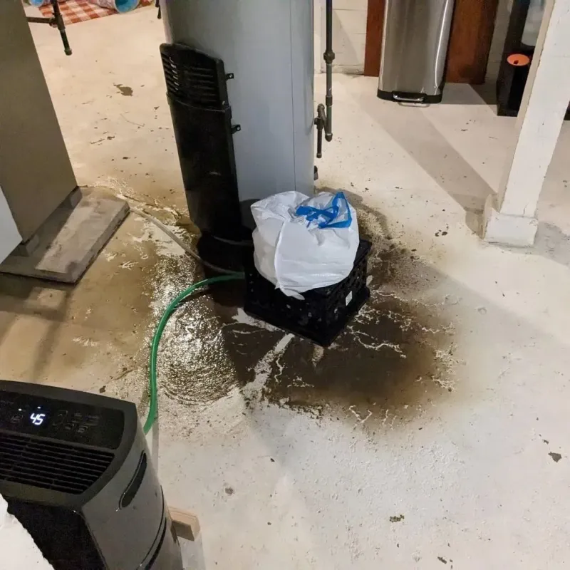 Sewage Backup Cleanup Service in Old Orchard, PA